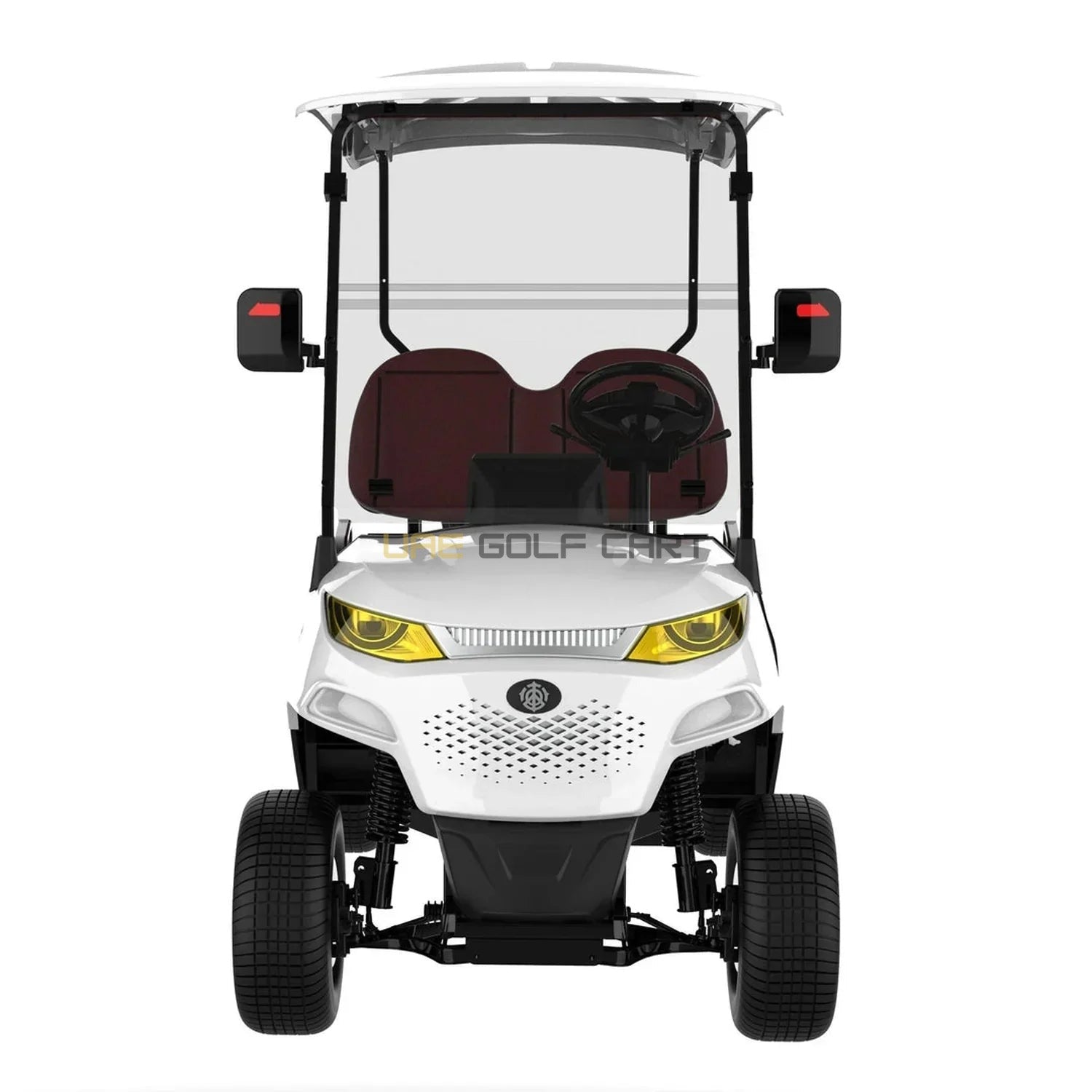 2 Passenger On Road Street Legal Golf Cart with 48V Lithium Battery and Bluetooth - Normal Golf Carts - 2 Seater | UAE Golf Cart