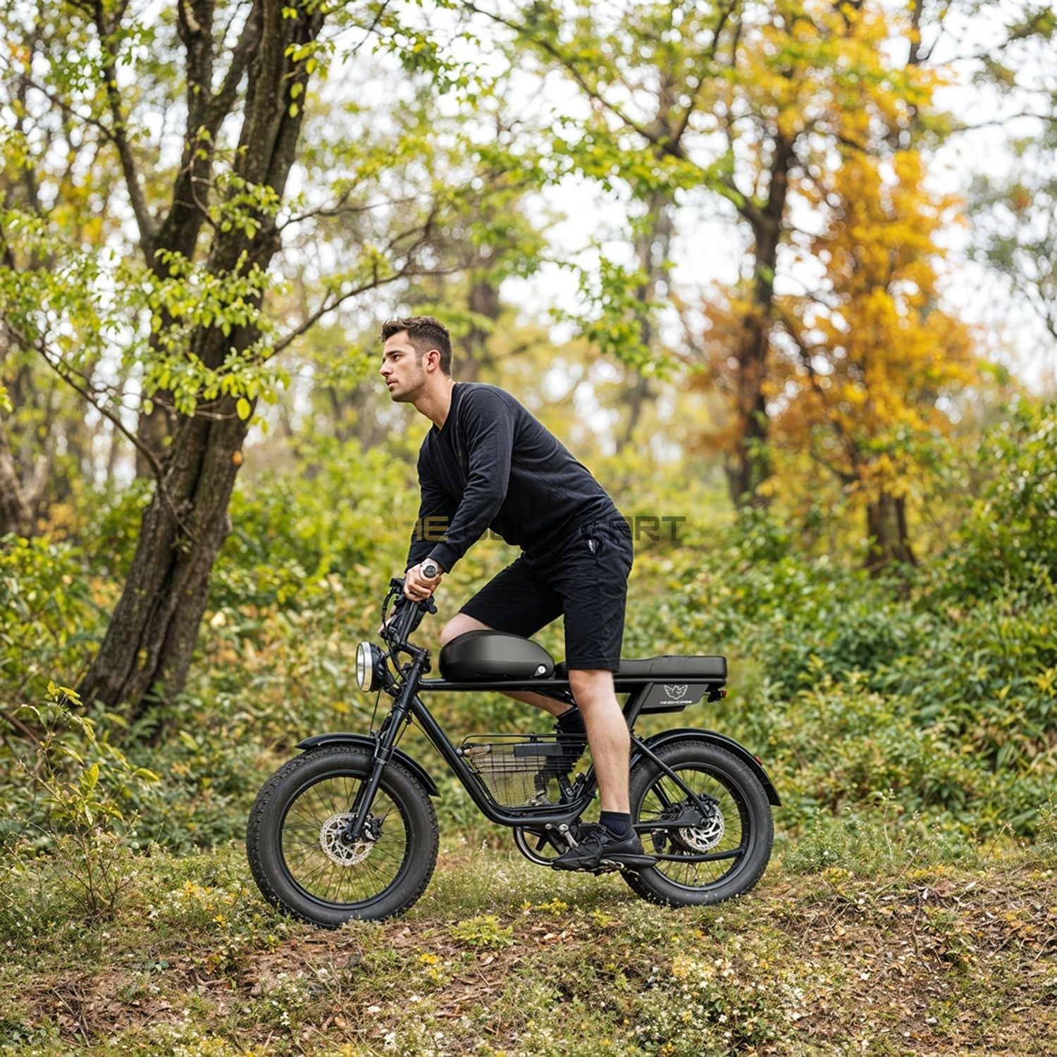 Buy 20" Fat Tire Electric Bike with 1000W Motor, 48V 21Ah Battery, Hydraulic Disc Brakes, Cargo Basket, 330 lb Load - Electric Bikes at UAE Golf Cart