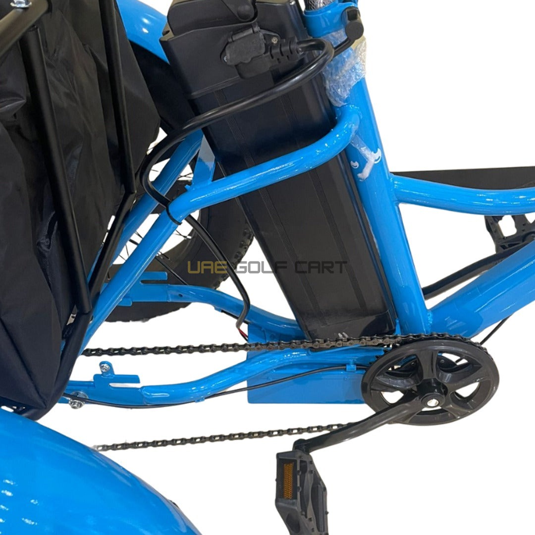 24-Inch Electric Trike Fat Tire 3 Wheel Cargo Electric Bike With Basket - Electric Bikes - Photo 13 | UAE Golf Cart