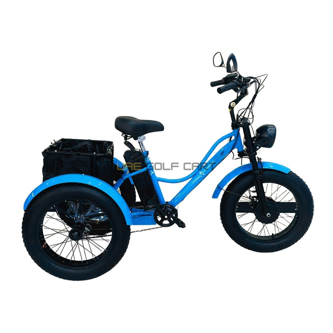 24-Inch Electric Trike Fat Tire 3 Wheel Cargo Electric Bike With Basket - Electric Bikes - Close Up | UAE Golf Cart