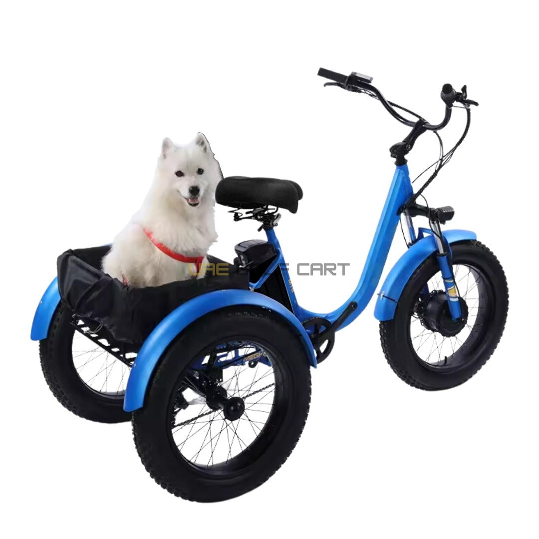 24-Inch Electric Trike Fat Tire 3 Wheel Cargo Electric Bike With Basket - Electric Bikes - Photo 4 | UAE Golf Cart