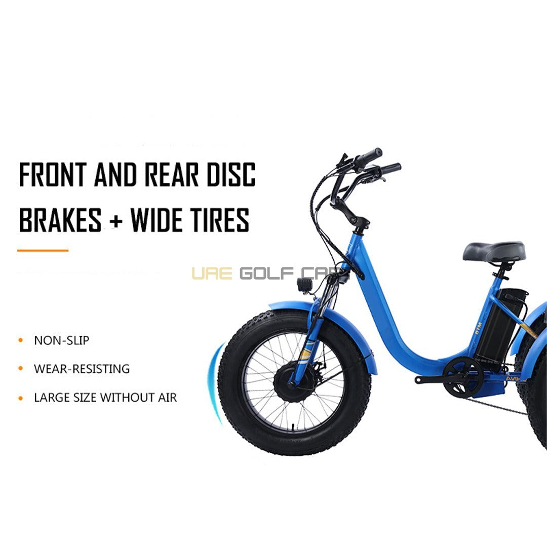 24-Inch Electric Trike Fat Tire 3 Wheel Cargo Electric Bike With Basket - Electric Bikes - Photo 7 | UAE Golf Cart