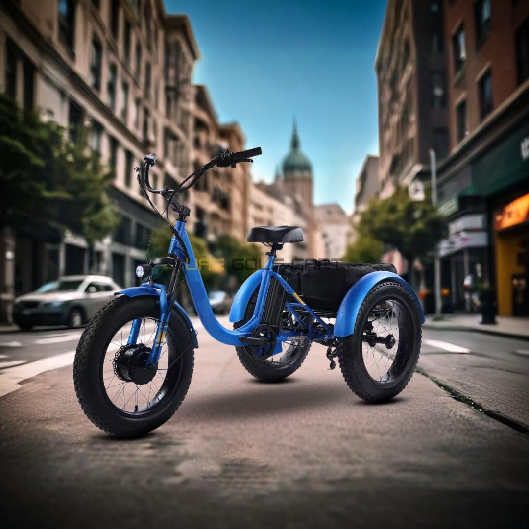 Buy 24-Inch Electric Trike Fat Tire 3 Wheel Cargo Electric Bike With Basket - Electric Bikes at UAE Golf Cart