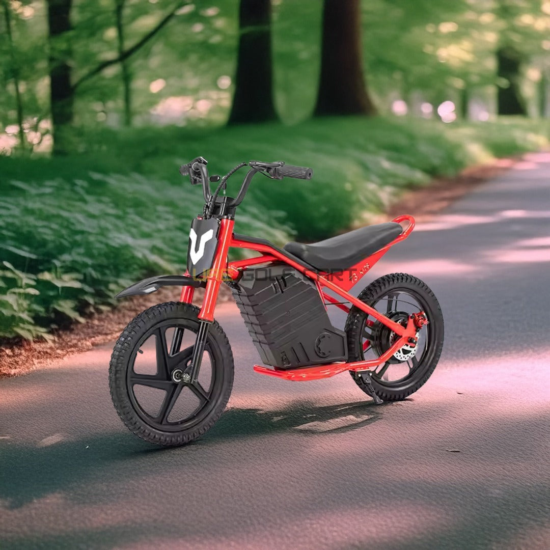 24V 350W Kids Electric Bike 16 Inch Balance Dirt Bike for Ages 5-9 - Electric Dirt Bikes - Photo 14 | UAE Golf Cart
