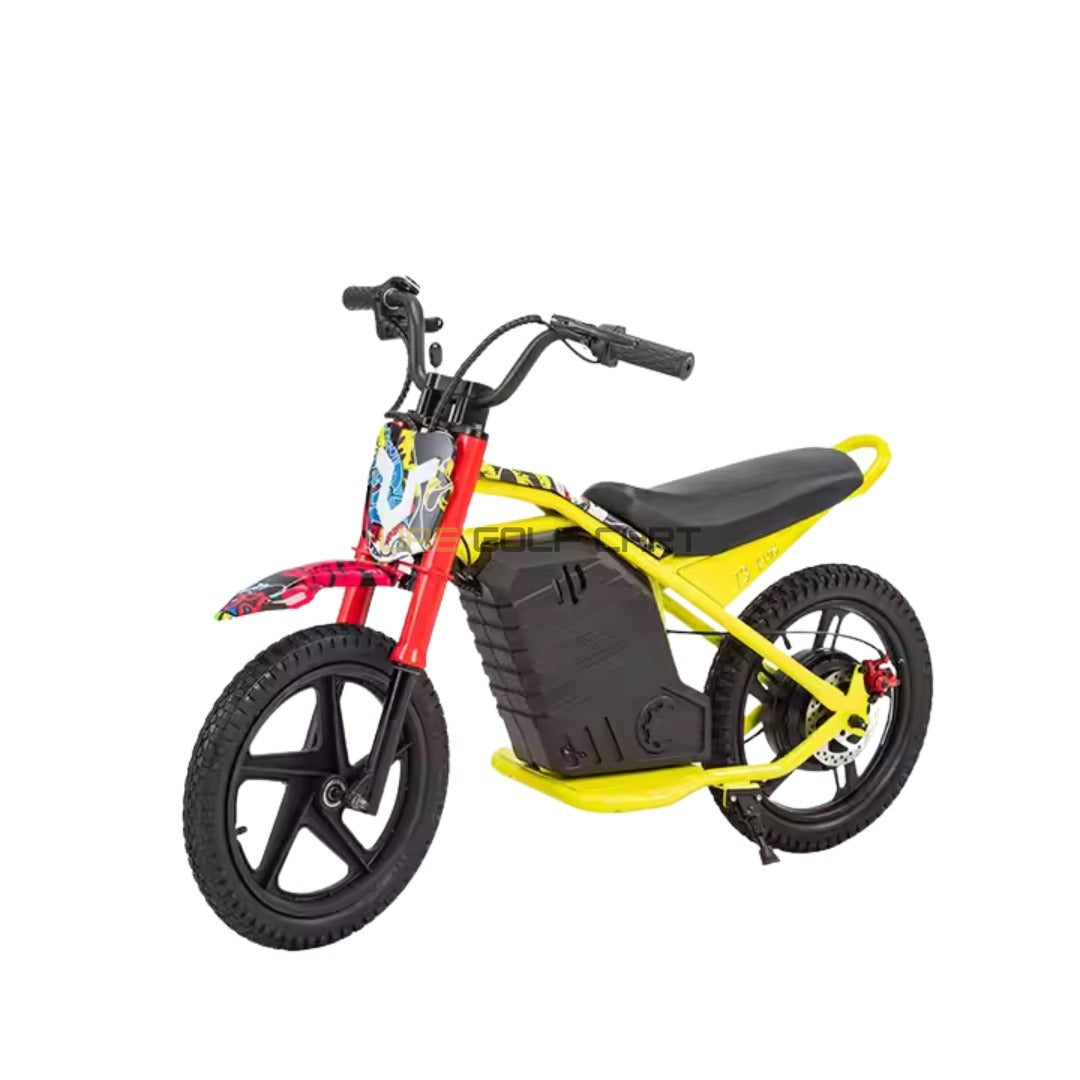 24V 350W Kids Electric Bike 16 Inch Balance Dirt Bike for Ages 5-9 - Electric Dirt Bikes - Photo 20 | UAE Golf Cart