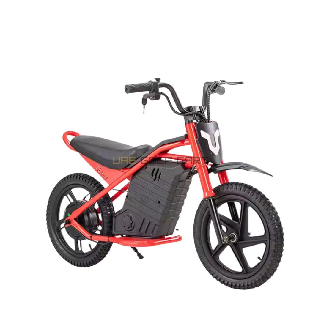 24V 350W Kids Electric Bike 16 Inch Balance Dirt Bike for Ages 5-9 - Electric Dirt Bikes - Photo 10 | UAE Golf Cart