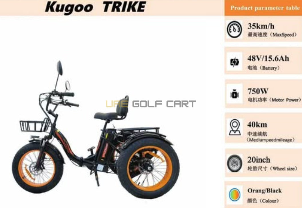 48V 15.6Ah Electric Tricycle with 750W Motor, Fat Tires, Dual Disk Brakes, 35 km/h Top Speed, 20 Inch Wheels, Comfortable Seat - Electric Motorbikes & Mopeds - Photo 8 | UAE Golf Cart