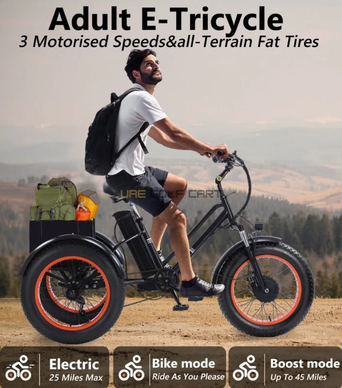 48V 15.6Ah Electric Tricycle with 750W Motor, Fat Tires, Dual Disk Brakes, 35 km/h Top Speed, 20 Inch Wheels, Comfortable Seat - Electric Motorbikes & Mopeds - Photo 9 | UAE Golf Cart