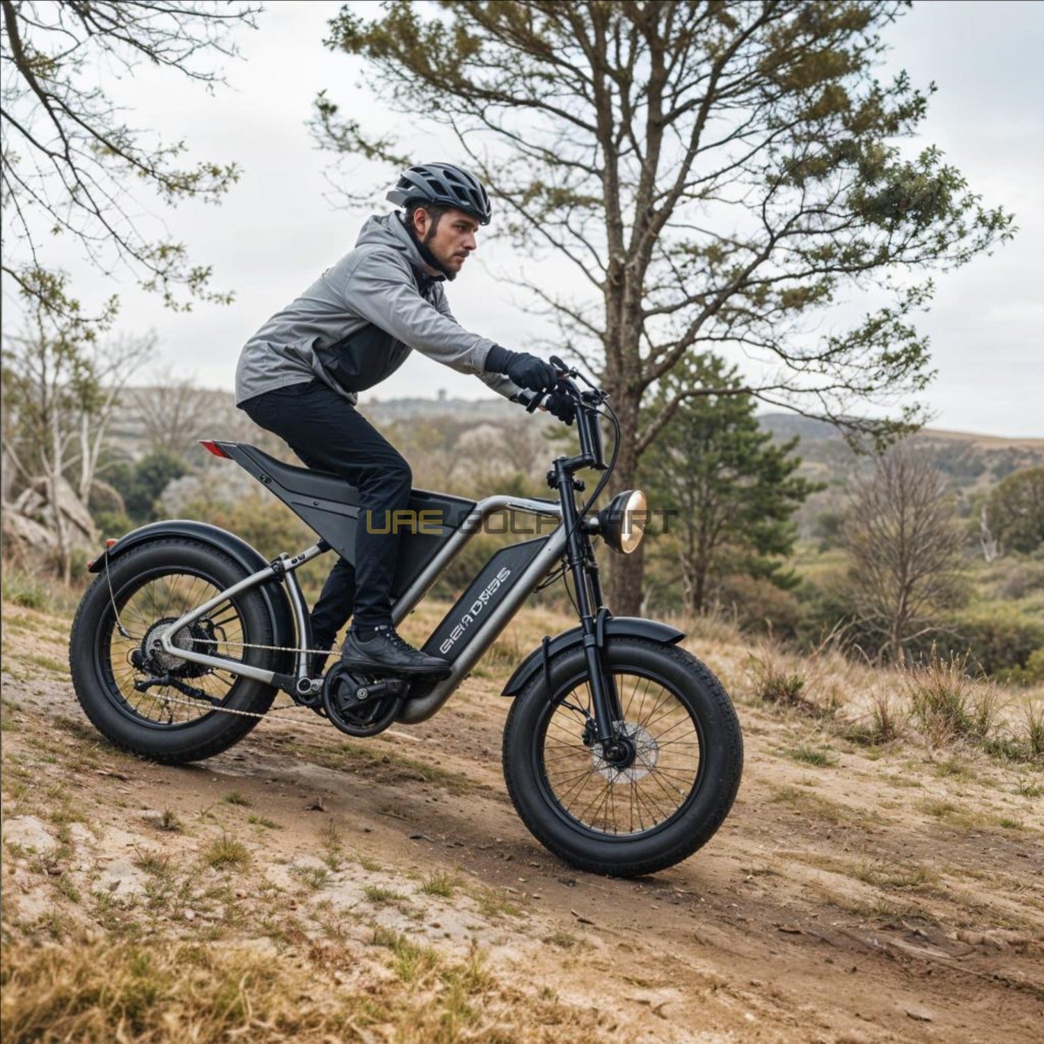 Buy 48V 18Ah Electric Bike with 1000W Motor, 20" Fat Tires, 7-Speed Shimano Gears, Hydraulic Disc Brakes, 50 MPH, 330 lbs Load Capacity - Electric Dirt Bikes at UAE Golf Cart