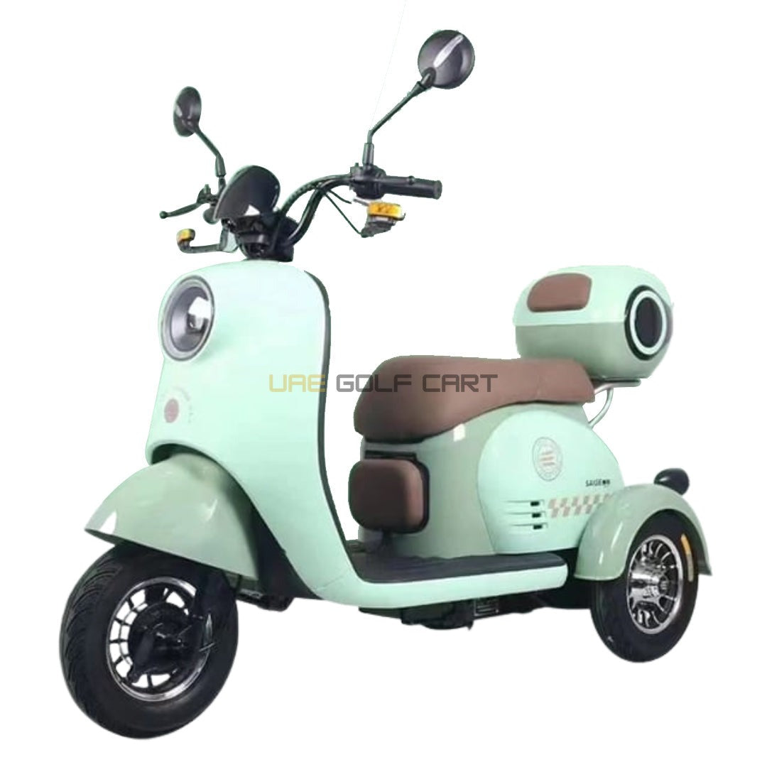 48V 20Ah Electric Parent Child Trike Scooter - 3 Seats, 30km/h Top Speed, 35km Range, 20inch Wheels, 150kg Load - Electric Motorbikes & Mopeds - Photo 10 | UAE Golf Cart