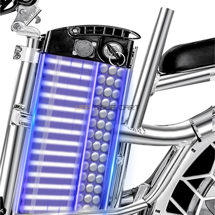 48V 350W Foldable Aluminum Alloy Electric Bike with Pedal Assist 20" Wheels - Electric Grocery Bike - Photo 10 | UAE Golf Cart