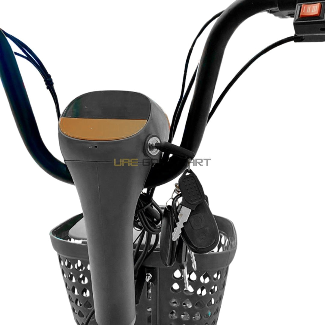 48V 500W Electric Scooter with Pedal Assist, 14-inch Tires, Dual Seats, 200kg Load, 25km Range - Electric Grocery Bike - Photo 15 | UAE Golf Cart