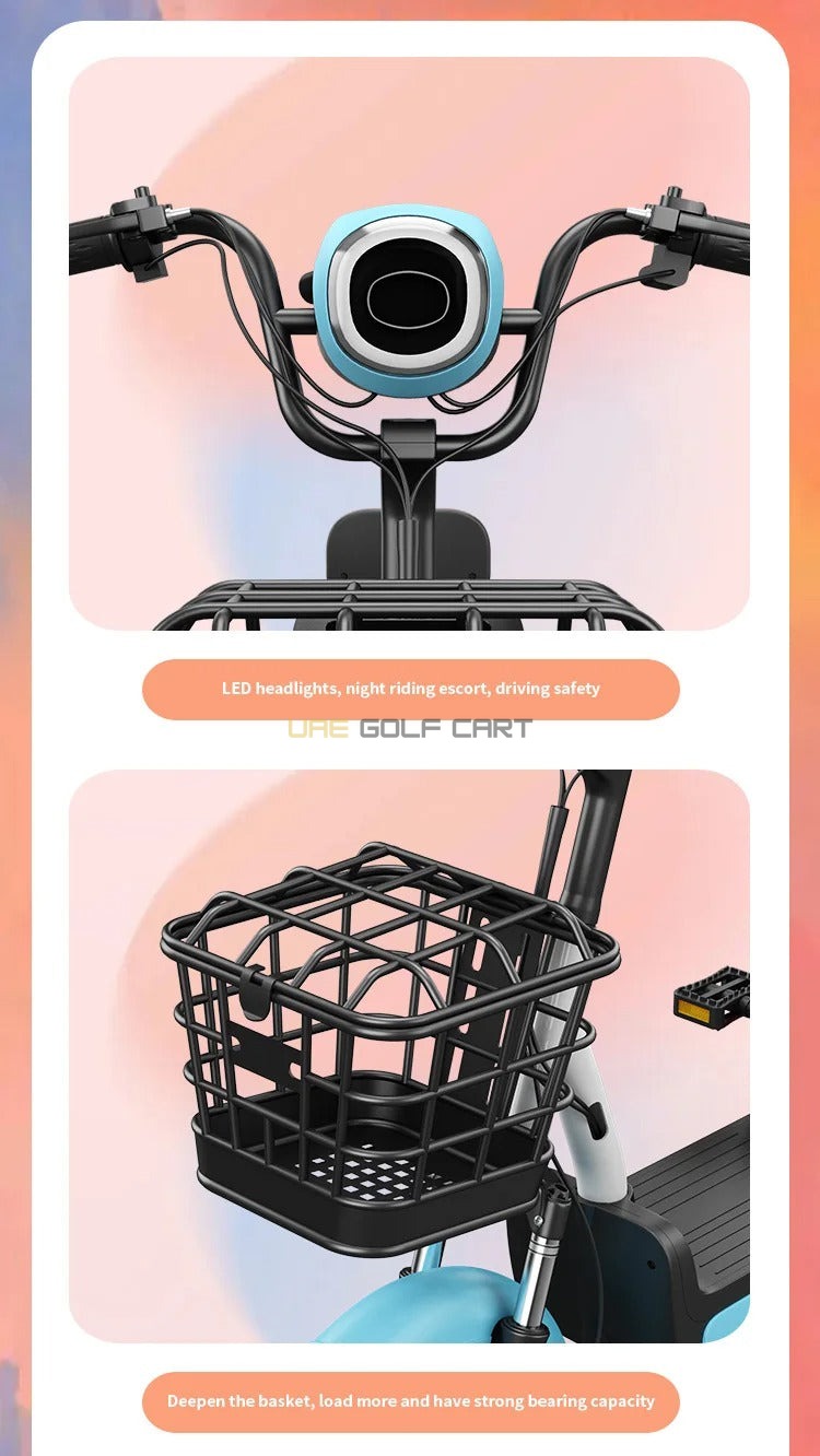 48V 500W Electric Scooter with Pedal Assist, 14-inch Tires, Dual Seats, 200kg Load, 25km Range - Electric Grocery Bike - Photo 33 | UAE Golf Cart