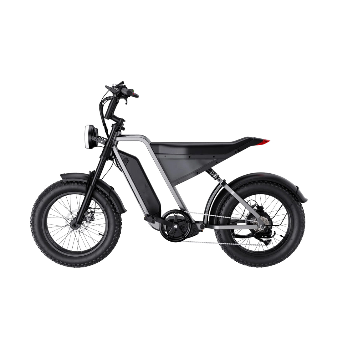 UAE Golf Cart 48V 18Ah Electric Bike with 1000W Motor, 20" Fat Tires, 7-Speed Shimano Gears, Hydraulic Disc Brakes, 50 MPH, 330 lbs Load Capacity - View 5