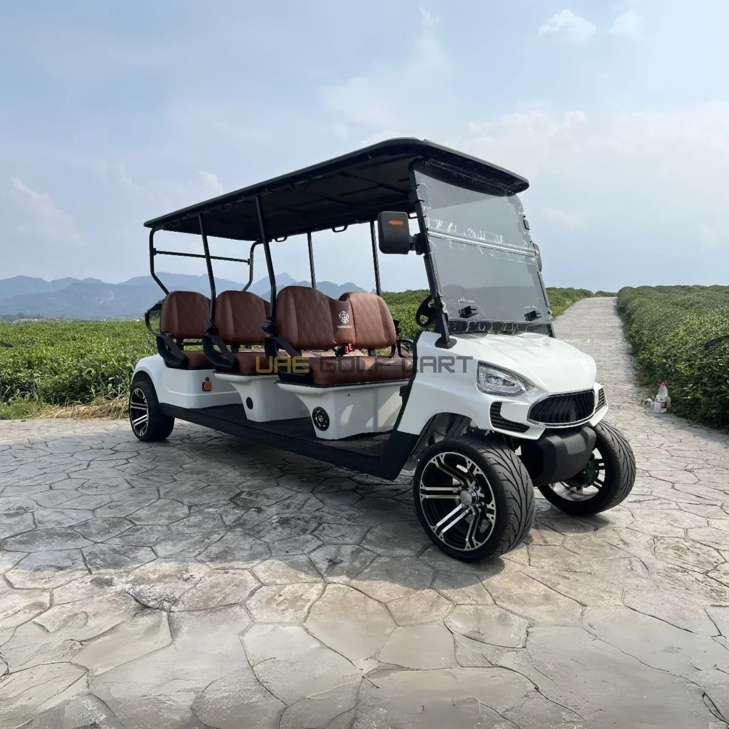 Buy 6 Passenger On Road Electric Golf Cart with Lithium Battery and Camera - Normal Golf Carts - 6 Seater at UAE Golf Cart