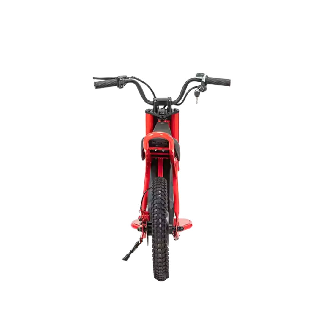UAE Golf Cart 24V 350W Kids Electric Bike 16 Inch Balance Dirt Bike for Ages 5-9 - View 12