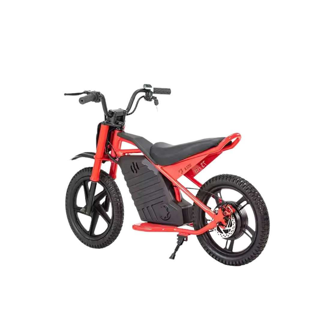 UAE Golf Cart 24V 350W Kids Electric Bike 16 Inch Balance Dirt Bike for Ages 5-9 - View 6