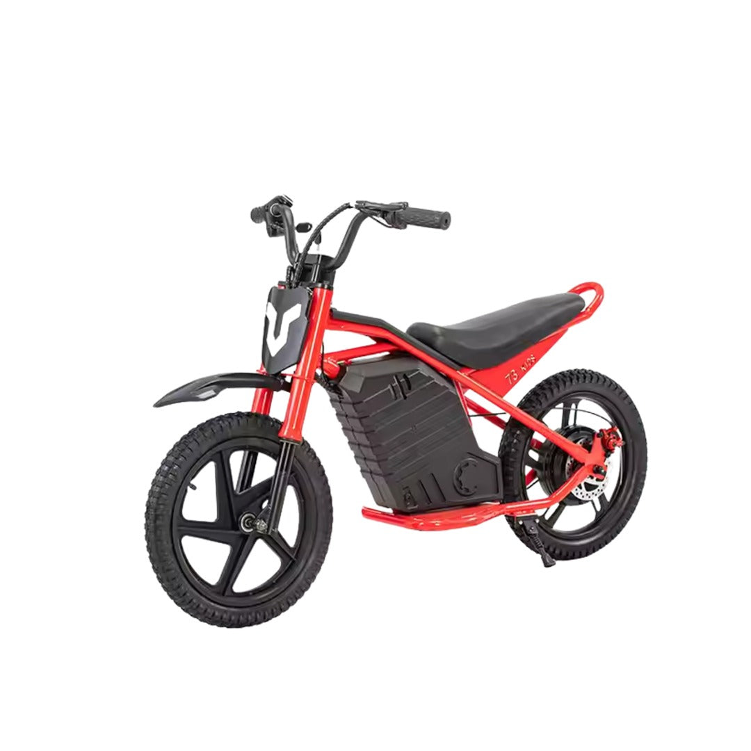 UAE Golf Cart 24V 350W Kids Electric Bike 16 Inch Balance Dirt Bike for Ages 5-9 - View 3
