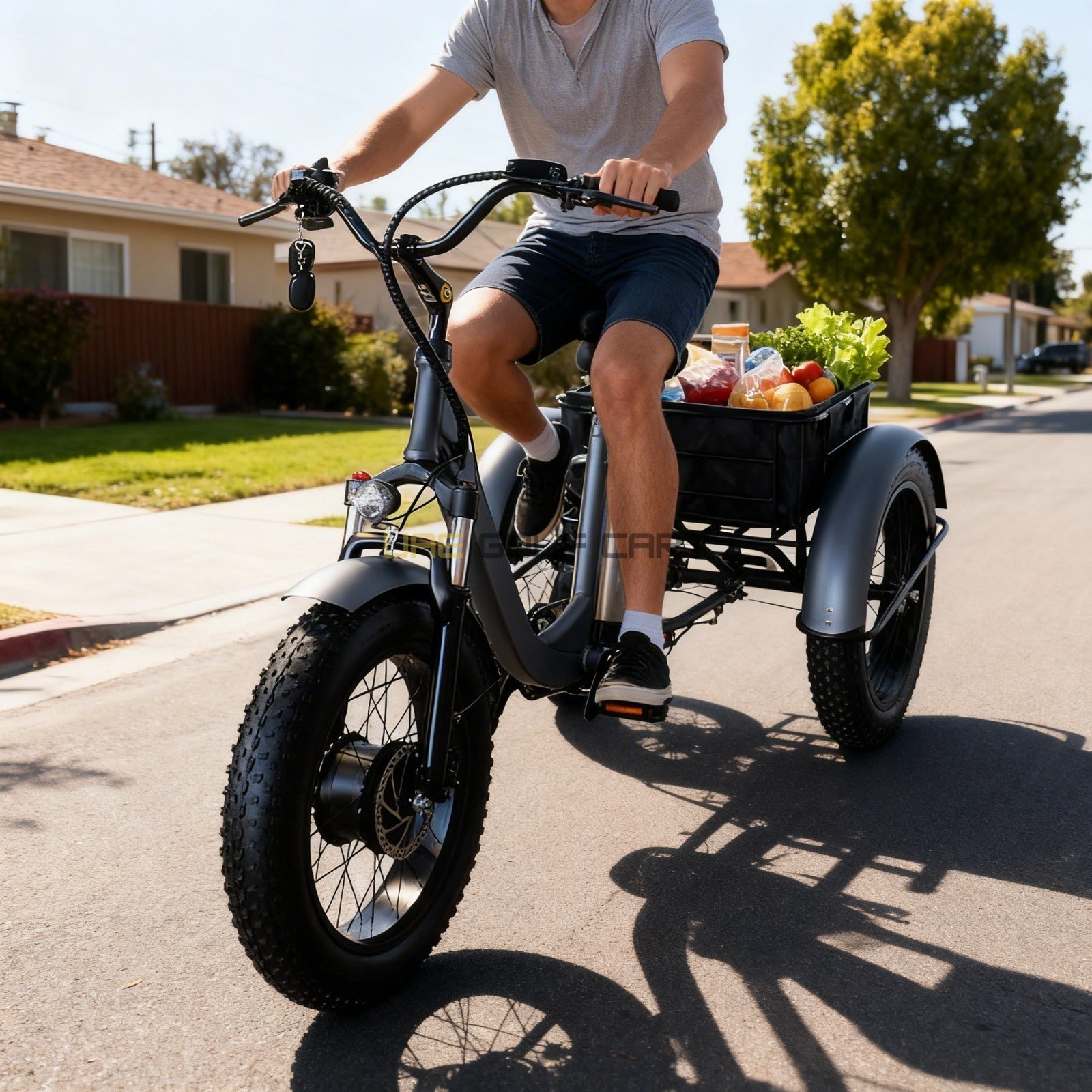 Electric Trike Bike with Removable 48V 15Ah Battery, 750W Motor, 250kg Load, 35-45km/h Speed - Electric Grocery Bike | UAE Golf Cart