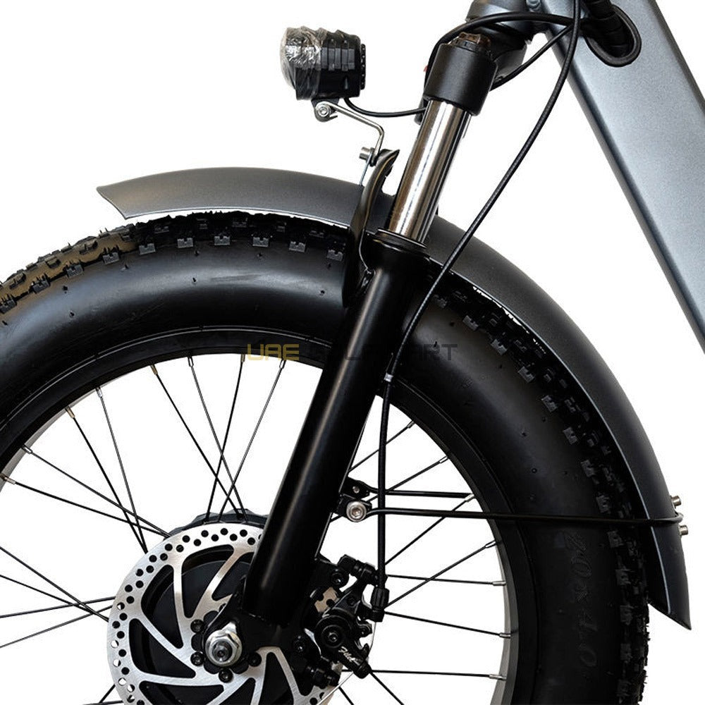 Electric Trike Bike with Removable 48V 15Ah Battery, 750W Motor, 250kg Load, 35-45km/h Speed - Electric Grocery Bike - Photo 11 | UAE Golf Cart