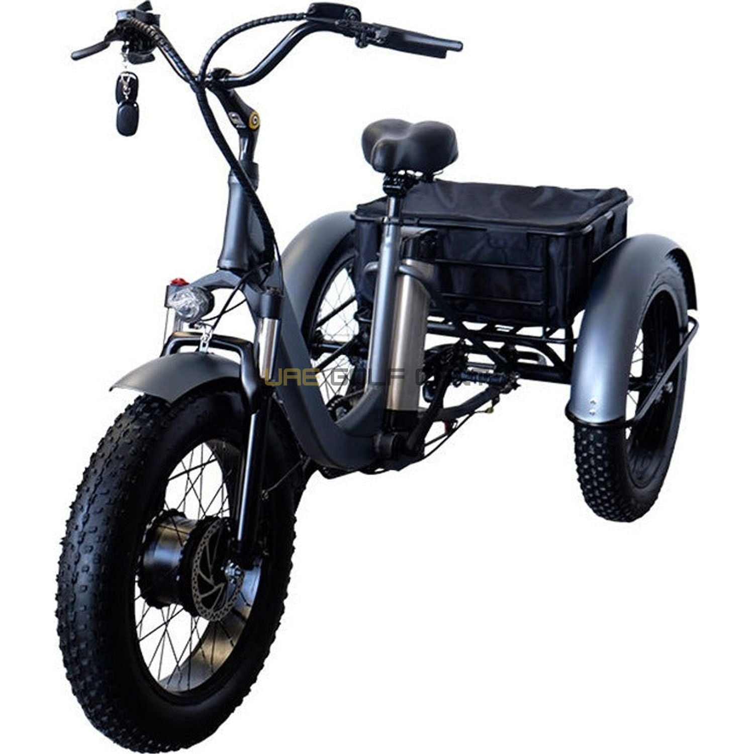 Electric Trike Bike with Removable 48V 15Ah Battery, 750W Motor, 250kg Load, 35-45km/h Speed - Electric Grocery Bike - Photo 14 | UAE Golf Cart