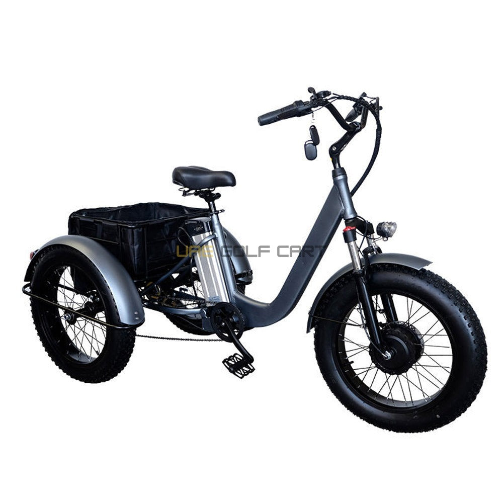 Electric Trike Bike with Removable 48V 15Ah Battery, 750W Motor, 250kg Load, 35-45km/h Speed - Electric Grocery Bike - Photo 17 | UAE Golf Cart