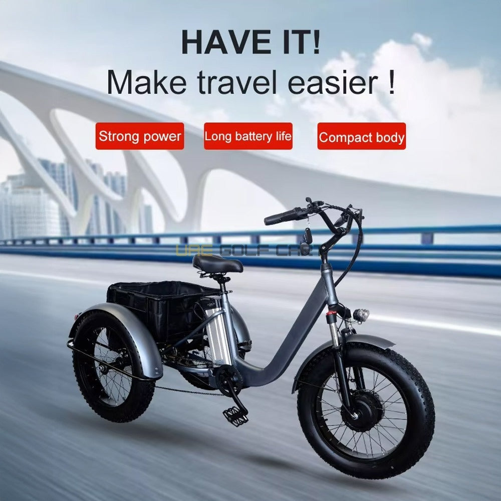 Electric Trike Bike with Removable 48V 15Ah Battery, 750W Motor, 250kg Load, 35-45km/h Speed - Electric Grocery Bike - Photo 19 | UAE Golf Cart