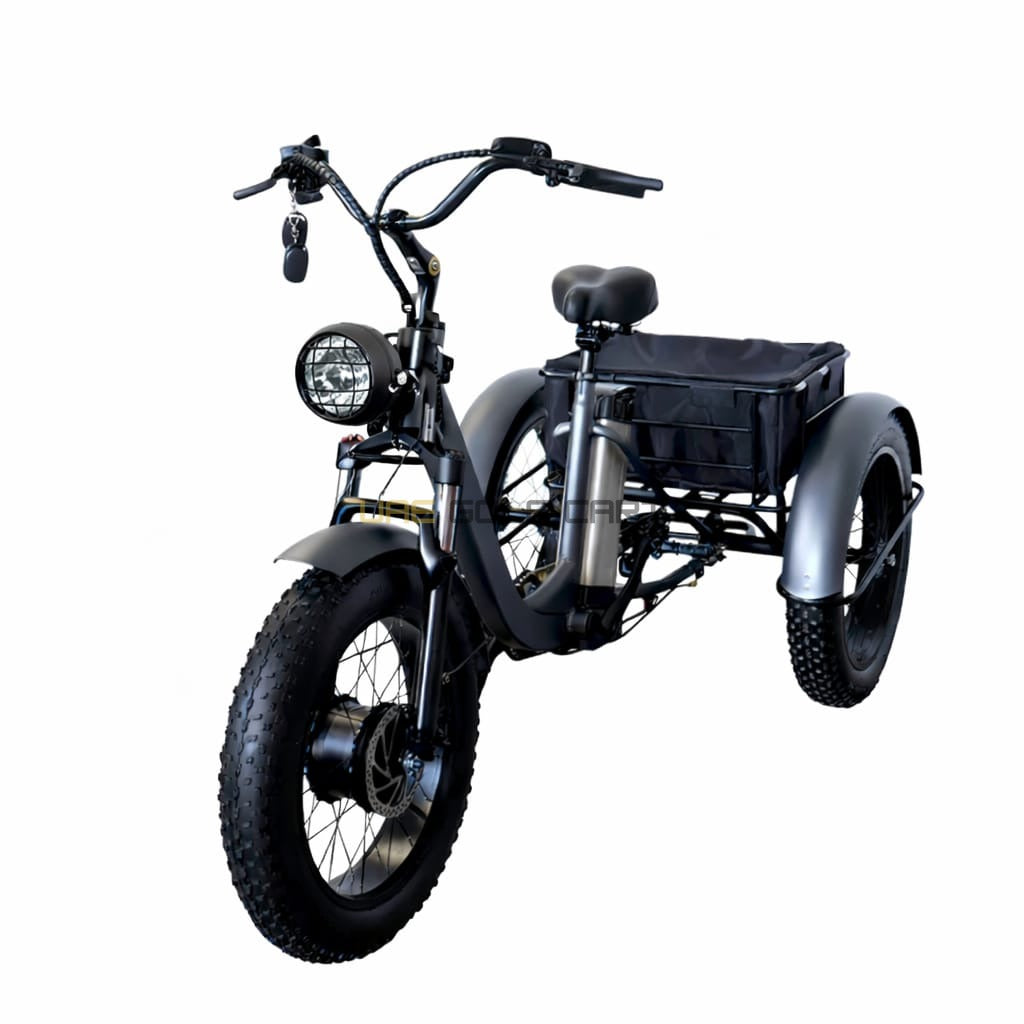 Electric Trike Bike with Removable 48V 15Ah Battery, 750W Motor, 250kg Load, 35-45km/h Speed - Electric Grocery Bike - Close Up | UAE Golf Cart