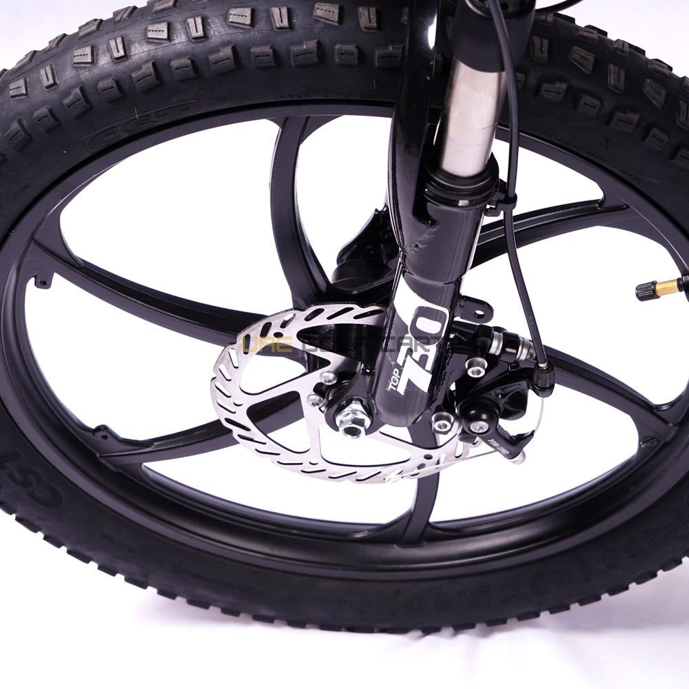 Foldable Aluminum Electric Bike 48V 250W 20inch 8Ah Battery - Electric Bikes - Photo 4 | UAE Golf Cart