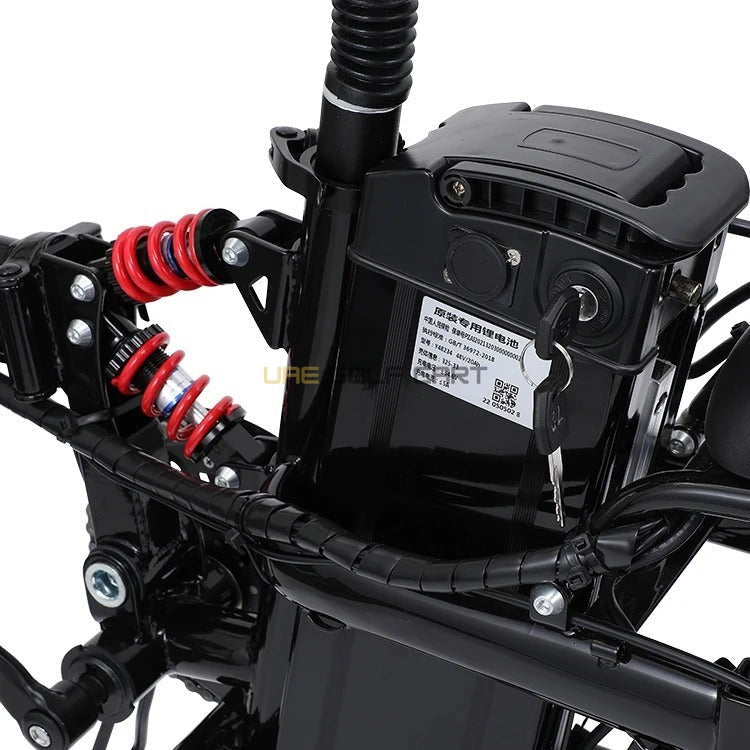 Foldable Electric Bike 2 Seater 48V 350W with Pedal Assist, 14-inch Wheels, Removable Battery, 40 km Range, 120 kg Load - Electric Bikes - Photo 12 | UAE Golf Cart