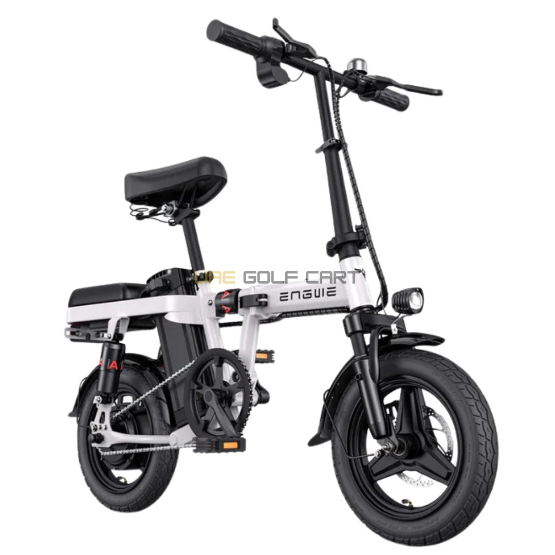 Foldable Electric Bike 250W Motor 48V10Ah Battery 14-inch Tires 20-25 km/h Speed 100 kg Capacity - Electric Bikes | UAE Golf Cart