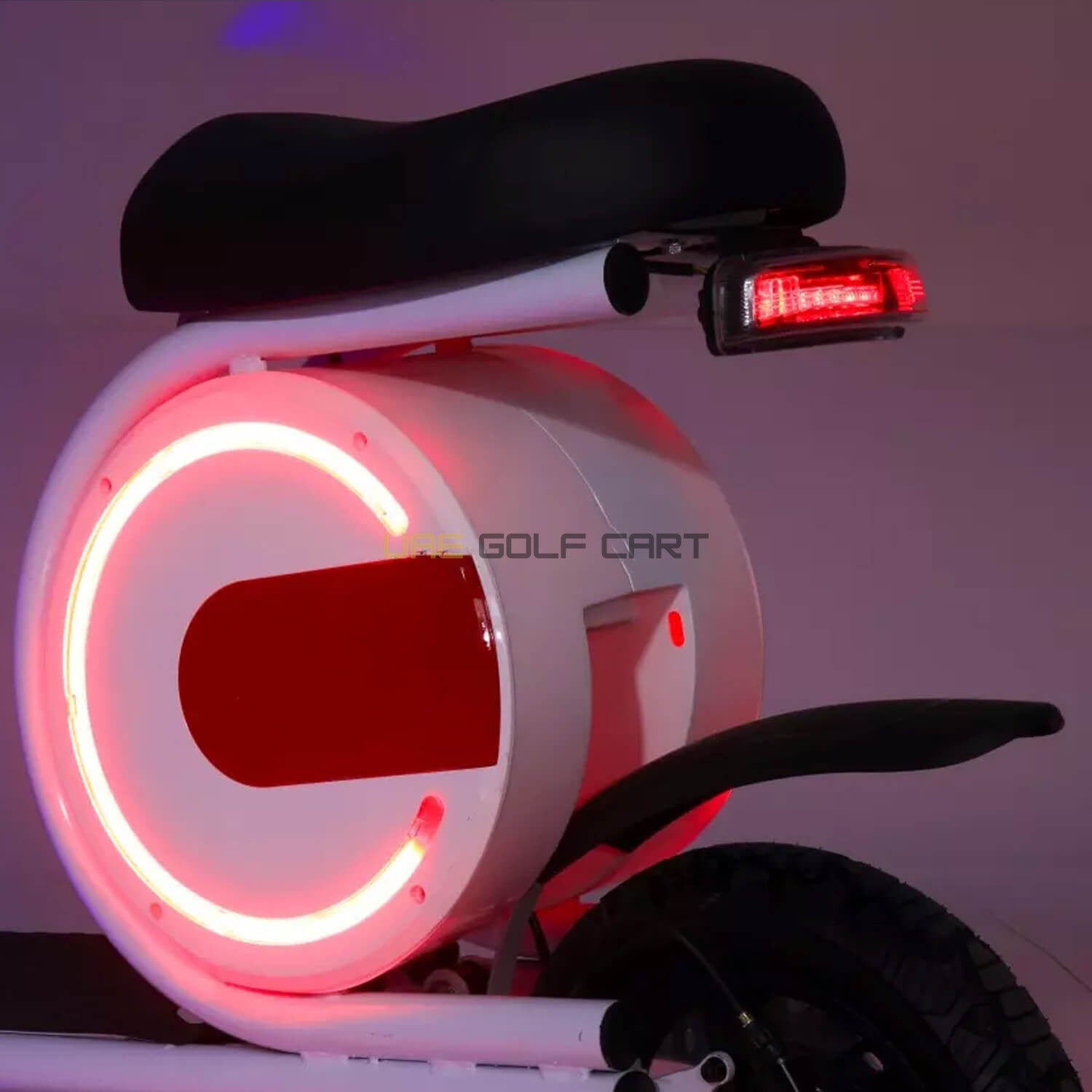 Foldable Electric Bike 350W Brushless Motor 25 km/h Top Speed 15 Mile Range 100 kg Load Capacity 34.5 lbs Weight - Electric Grocery Bike - Photo 14 | UAE Golf Cart