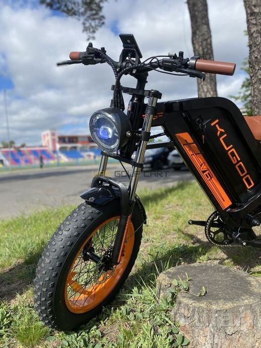 Harley Style Fat Tire Electric Bike with Removable 48V Lithium Battery and 1000W Dual Motor - Electric Bikes - Photo 11 | UAE Golf Cart