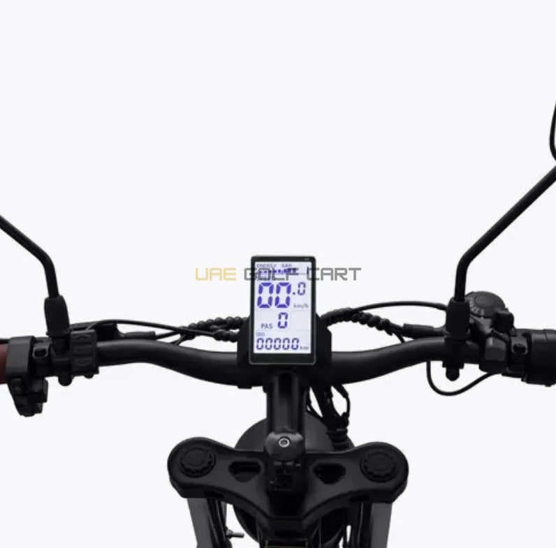 Harley Style Fat Tire Electric Bike with Removable 48V Lithium Battery and 1000W Dual Motor - Electric Bikes - Photo 7 | UAE Golf Cart