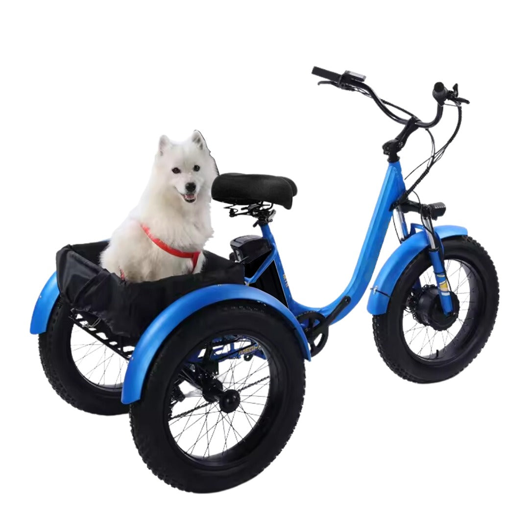 UAE Golf Cart 24-Inch Electric Trike Fat Tire 3 Wheel Cargo Electric Bike With Basket - View 5