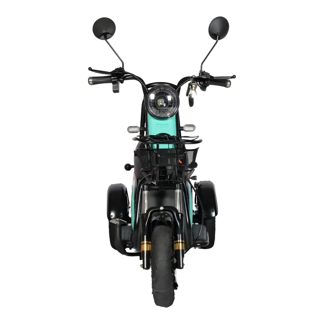 UAE Golf Cart 3-Wheel Electric Scooter with Dual Seats and Basket - View 19