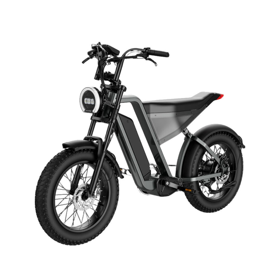 UAE Golf Cart 48V 18Ah Aluminum Alloy Electric Dirt Bike with 1000W Motor and 20 Inch Fat Tires - View 2