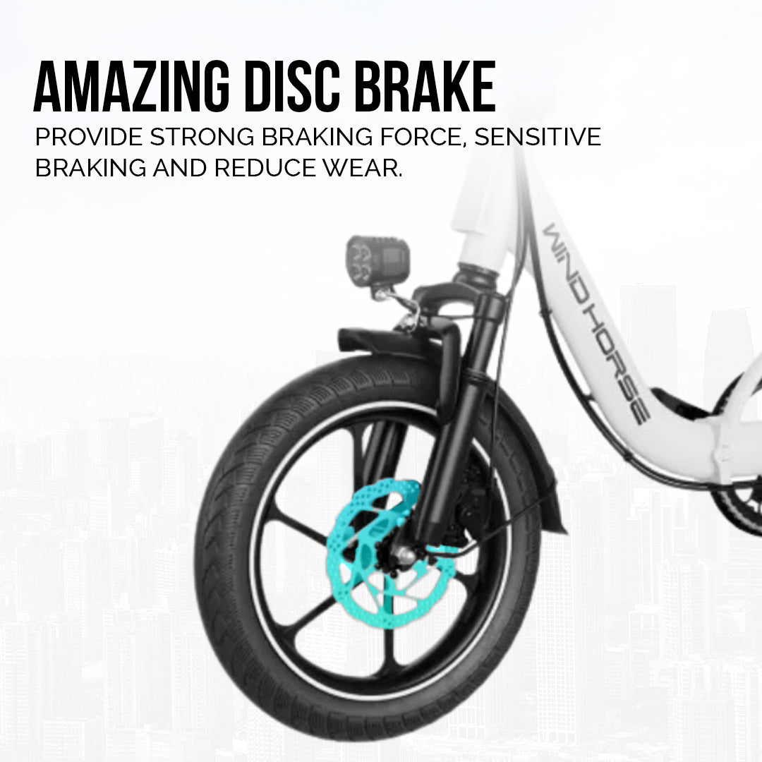 UAE Golf Cart 48V 350W Foldable Carbon Alloy Electric Bike 16" Tires 80kg Capacity - View 7