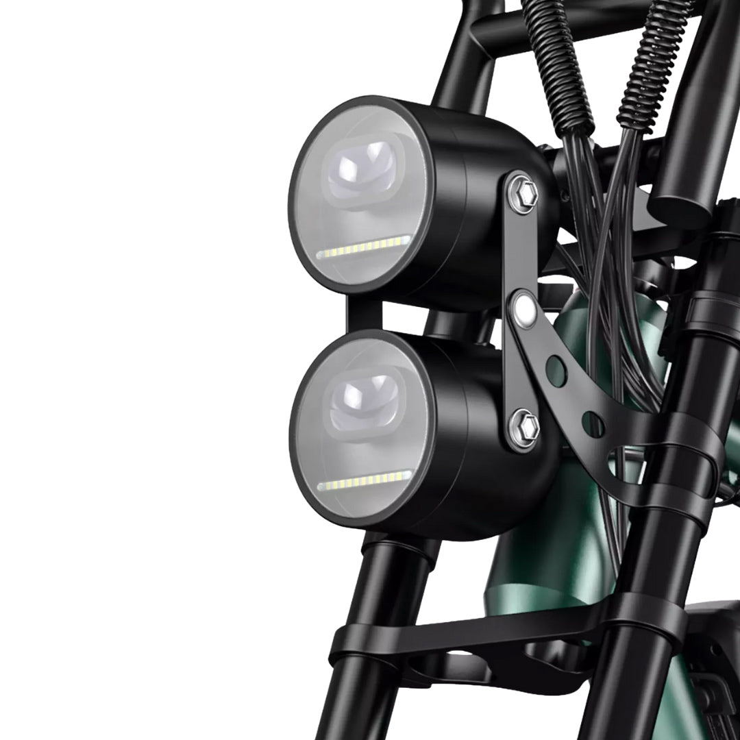UAE Golf Cart 48V 750W Electric Fat Bike with Removable Lithium Battery, 25 km/h Speed, 120 kg Load Capacity - View 8