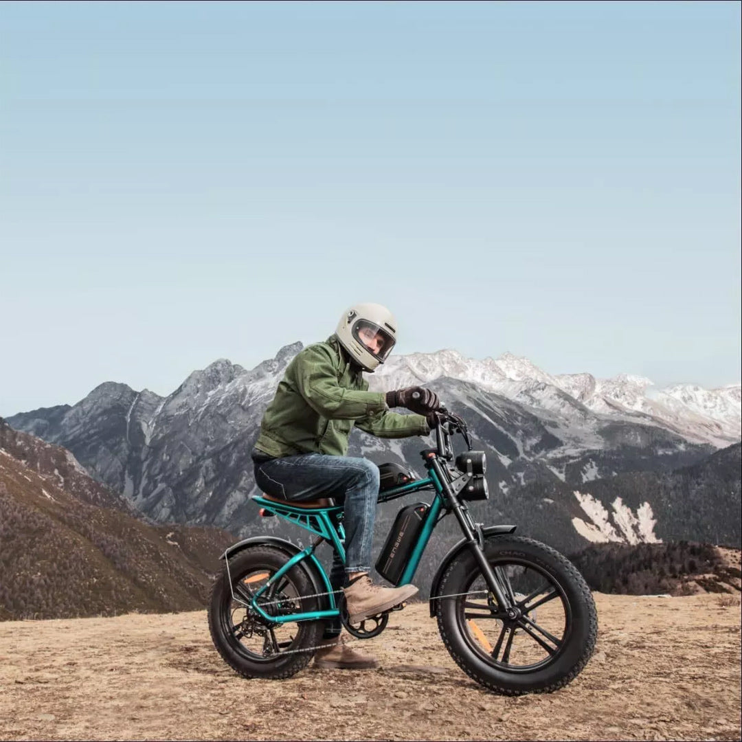 UAE Golf Cart 48V Fat Electric Bike with Dual Removable Batteries, 25 km/h, 20×4.0 Fat Tires, 7‑Speed Shimano, 160mm Disc Brakes - View 7