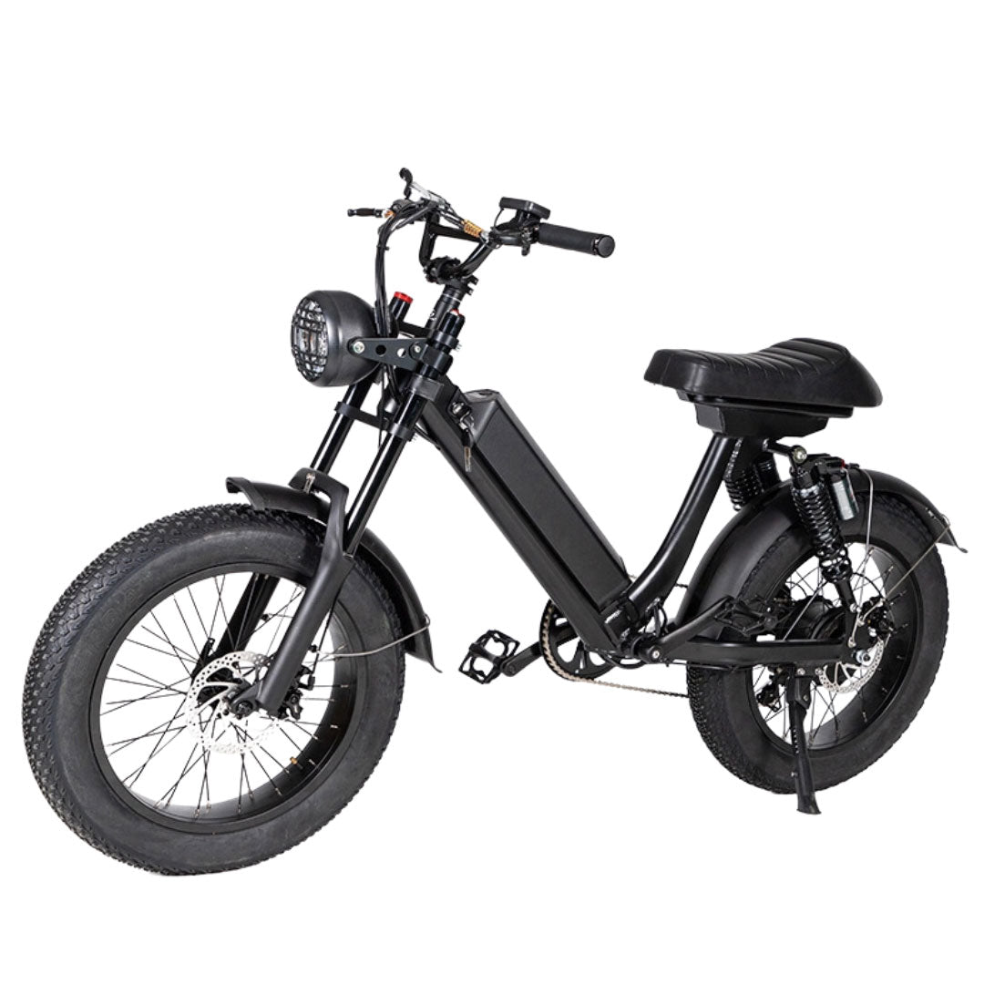 UAE Golf Cart 48V Fat Tyre Electric Bike with Removable Battery, 500W Motor, 40 KMPH Speed, and 20x4 Inch Tyres for Off-Road Adventures - View 25