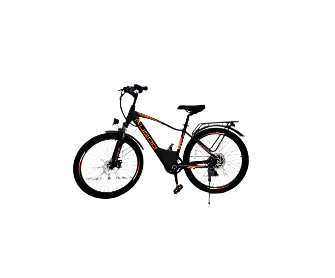 UAE Golf Cart Electric Bike 36V 13Ah Removable Battery City Rider with Seat - View 14