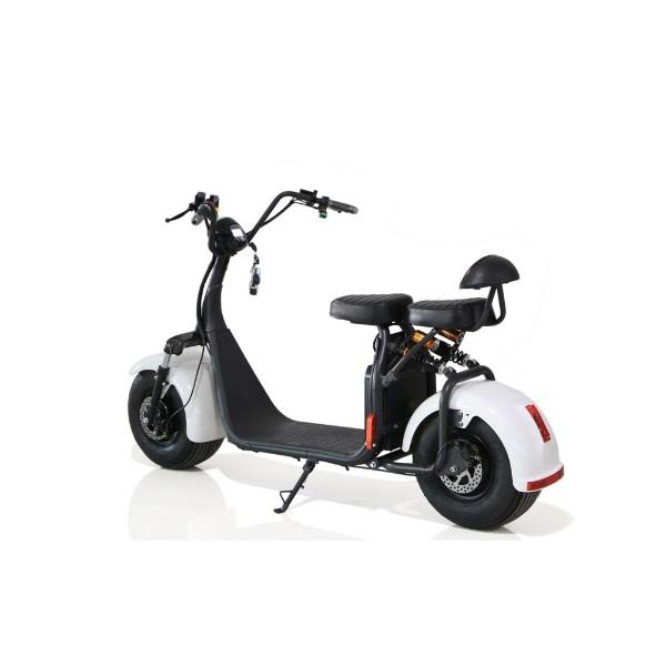 UAE Golf Cart Electric Fat Tyre Scooter 60V 1500W Removable Battery - View 11