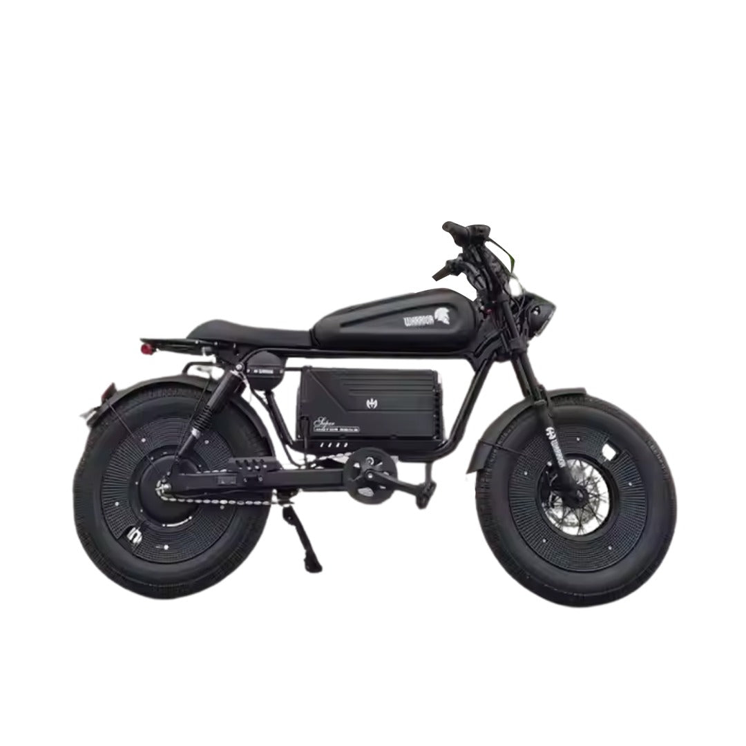 UAE Golf Cart Fat Harley Electric Bike 48V 1000W with Removable Battery - View 2