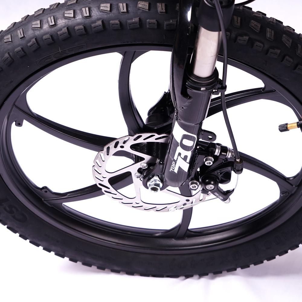 UAE Golf Cart Foldable Aluminum Electric Bike 48V 250W 20inch 8Ah Battery - View 4