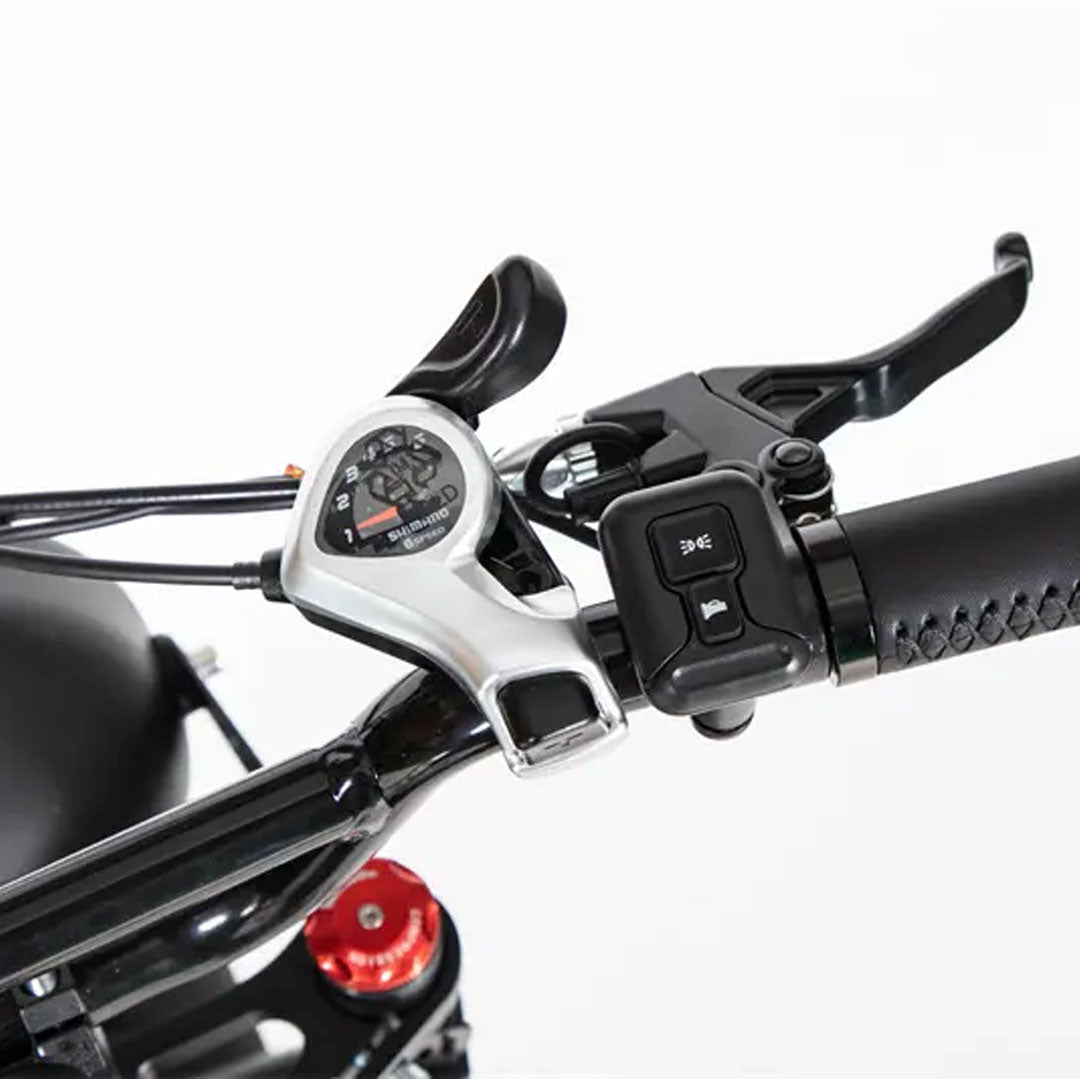 UAE Golf Cart Turbo Fat Tyre Electric Bike 48V with Removable Battery for Off-Road Adventures - View 18