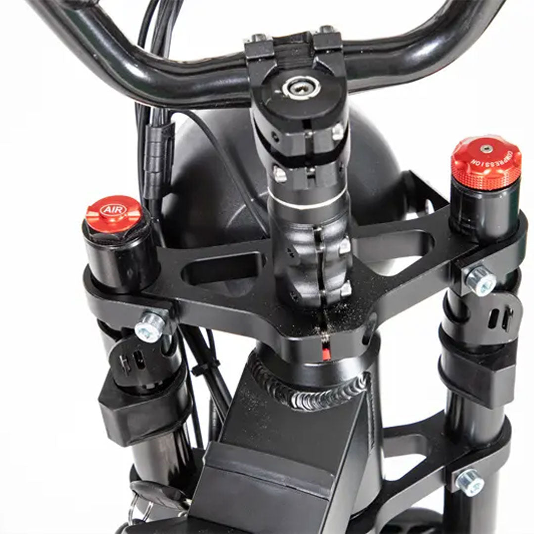 UAE Golf Cart Turbo Fat Tyre Electric Bike 48V with Removable Battery for Off-Road Adventures - View 22