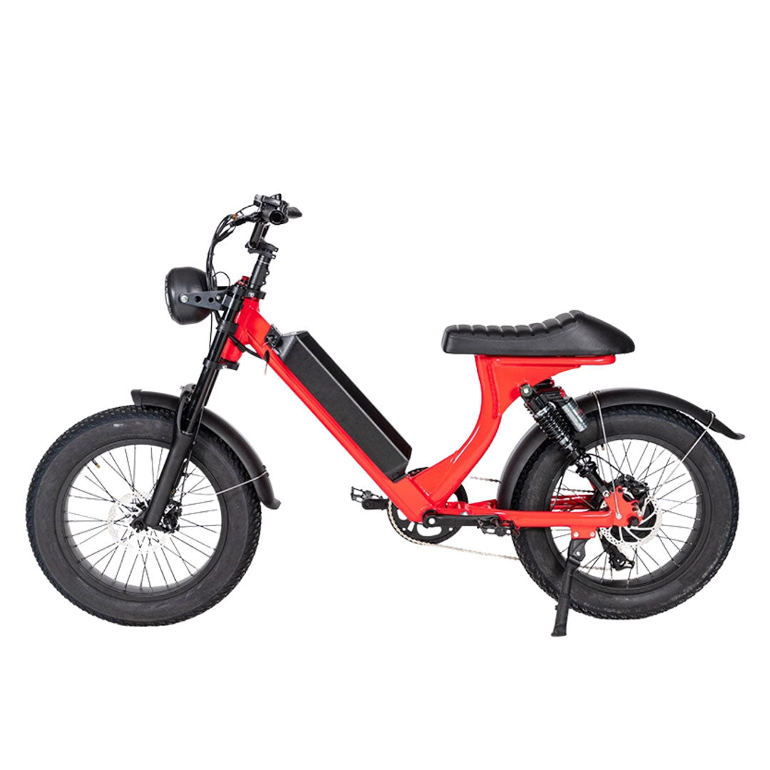 UAE Golf Cart Turbo Fat Tyre Electric Bike 48V with Removable Battery for Off-Road Adventures - View 6
