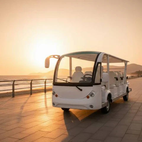 Sightseeing Electric Buses