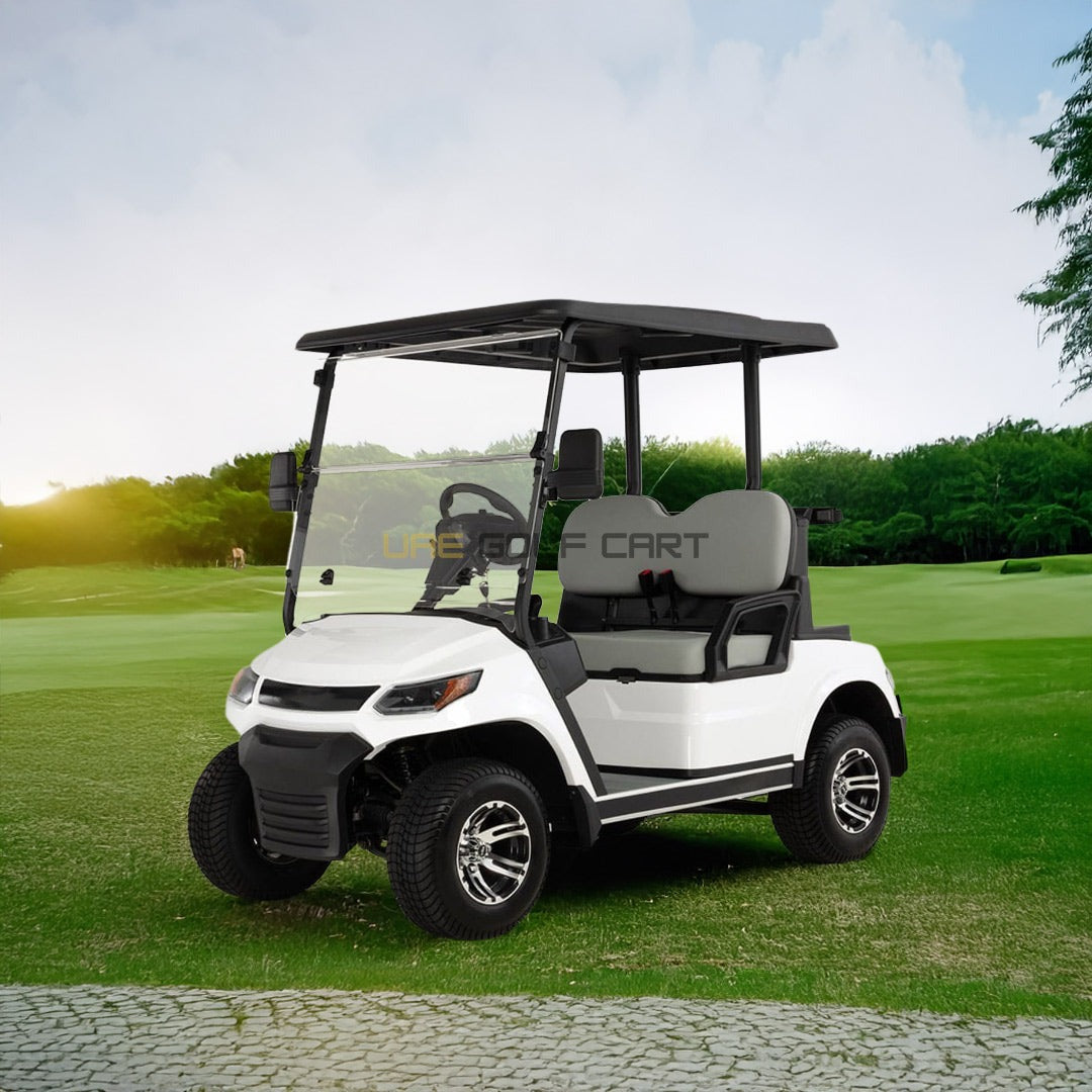 2 Seater Electric Golf Cart with 4000W AC Motor and 100km Long Range - Normal Golf Carts - 2 Seater - Photo 7 | UAE Golf Cart